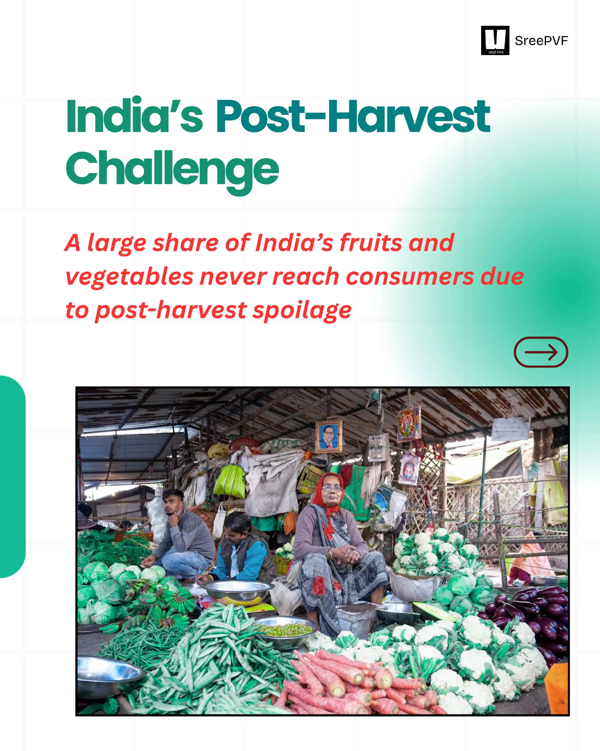 Edible Fruit Coating to Tackle India’s Post Harvest Challenge