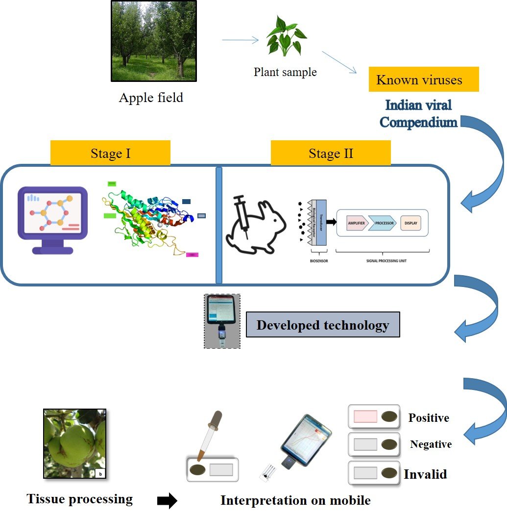 6. Technology