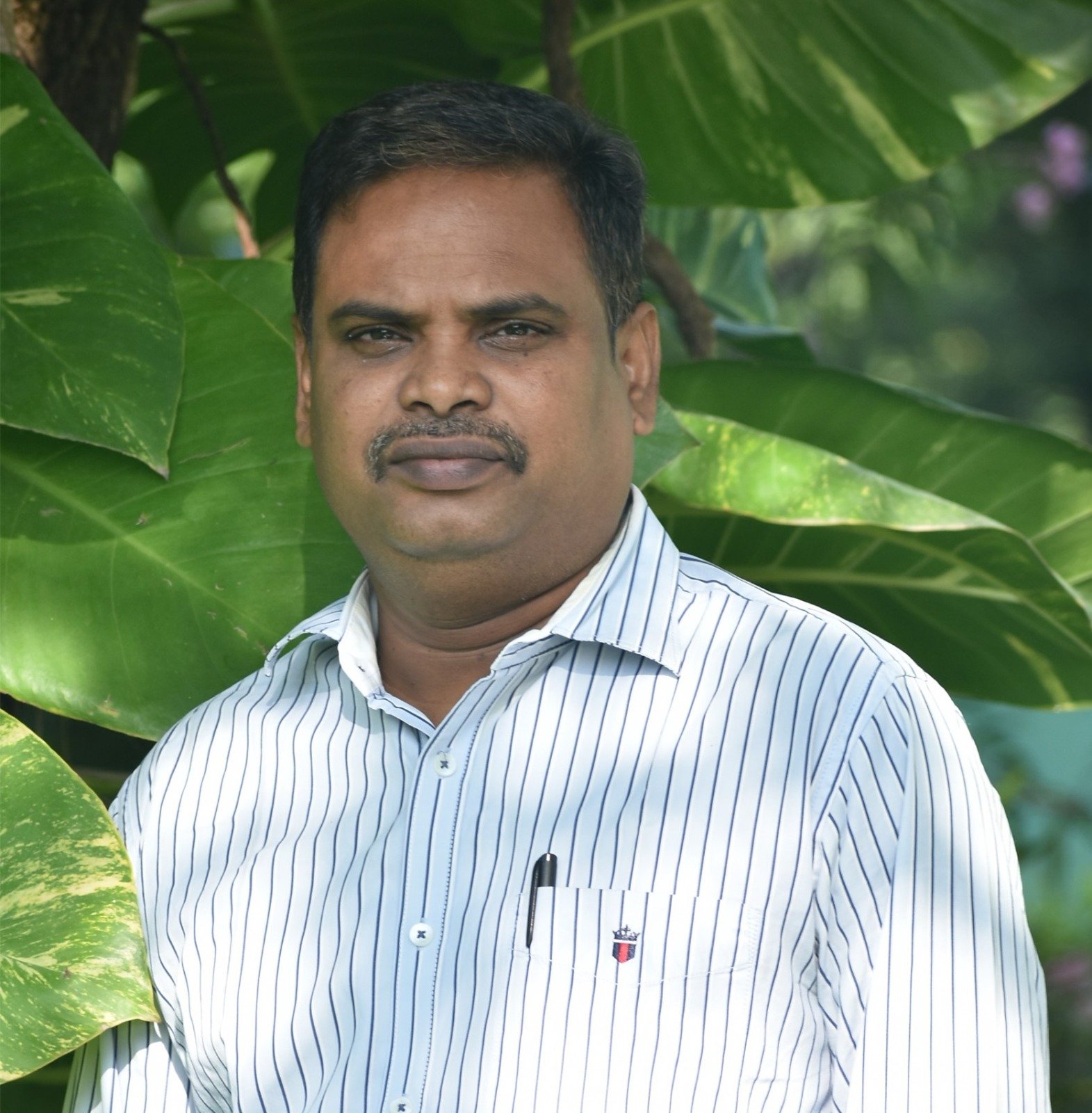 Dr. M. Suresh